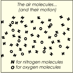 Animated molecules